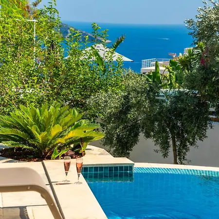 Eco Seray Kalkan